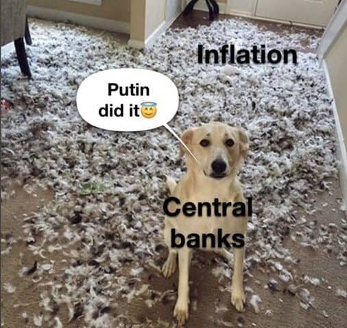 Dog sitting in front of pile of feathers with text about central bank blaming Putin for inflation.